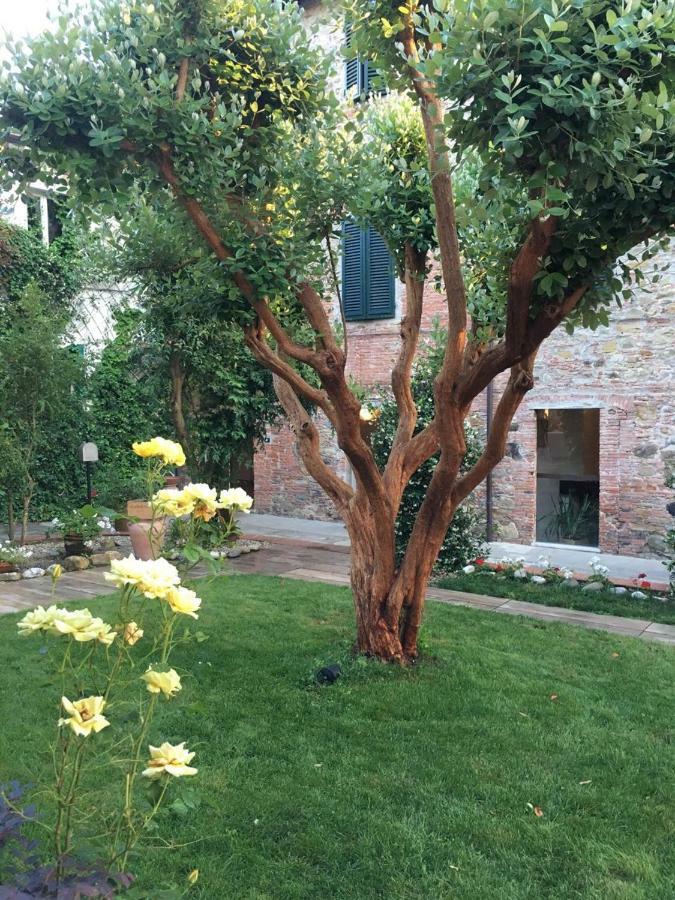 Locanda Del Pesce Briaco, B&B Lucca Exterior photo